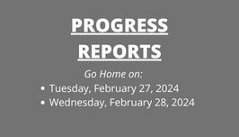  Progress Reports