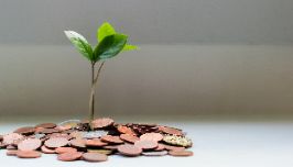  green plant growing from a pile of coins