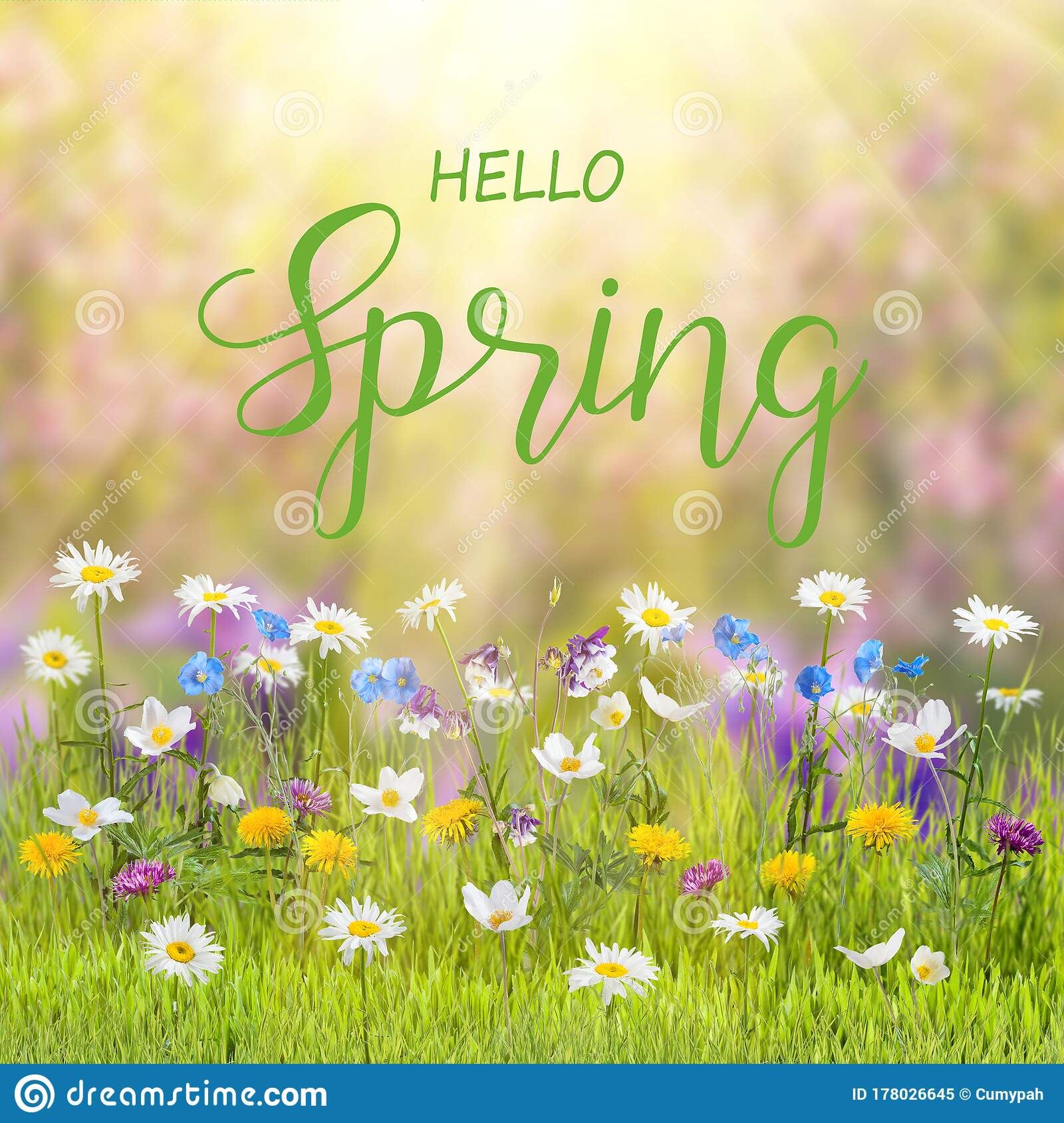  Happy Spring