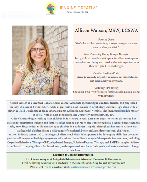 Allison Introduction