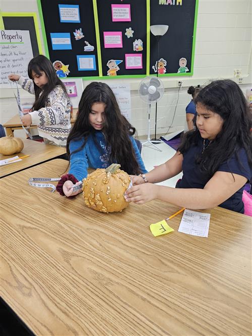 Measuring Pumpkins