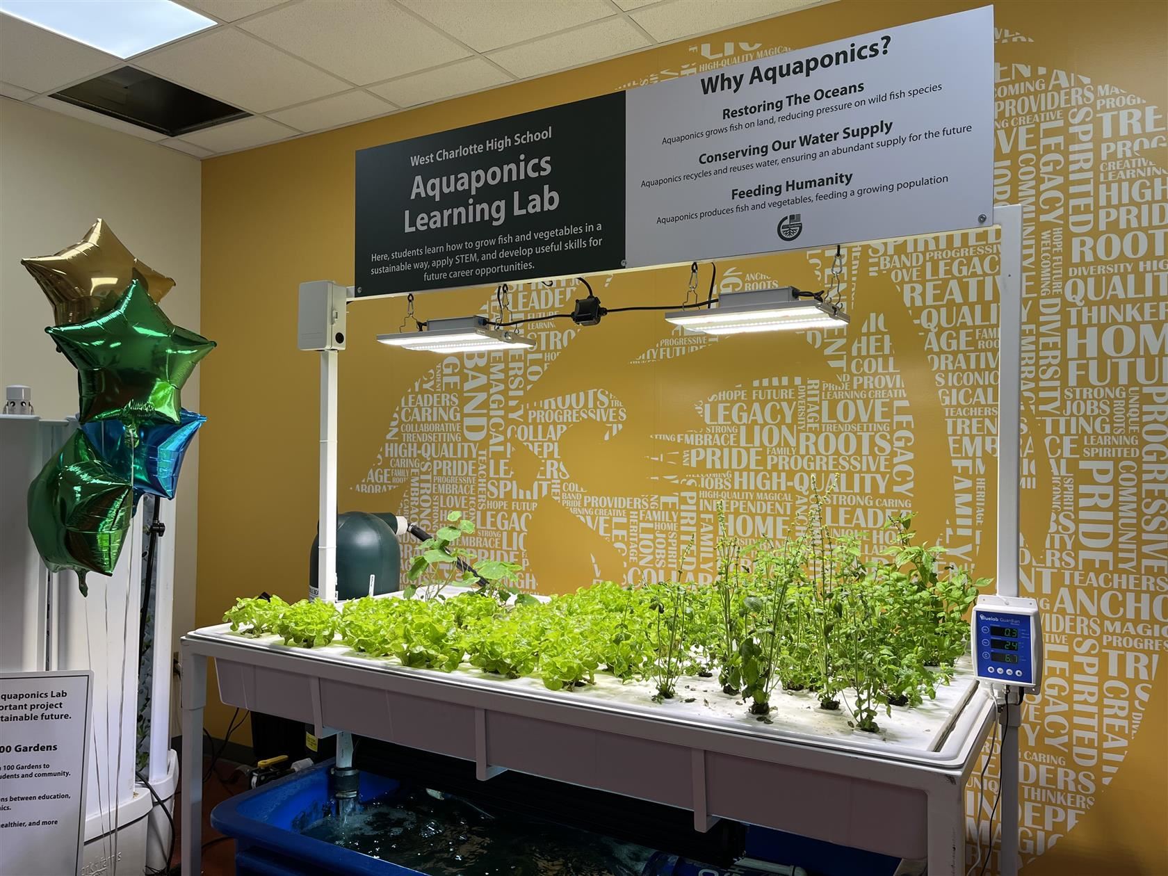The newly installed aquaponics lab at West Charlotte High School