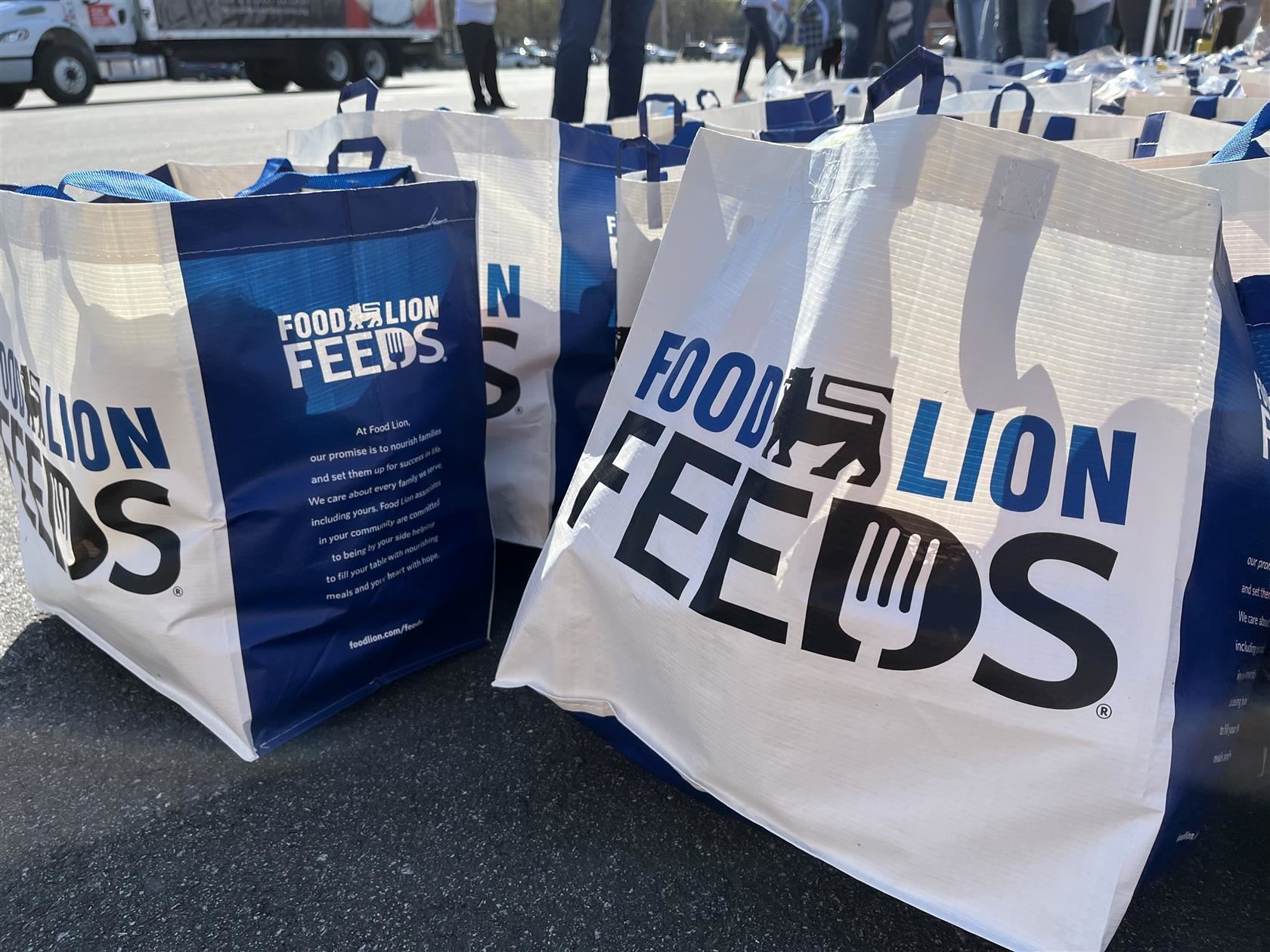Food Lion Feeds shopping bags 