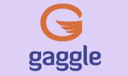  Gaggle Logo