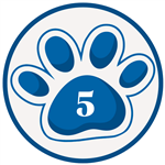 5 list