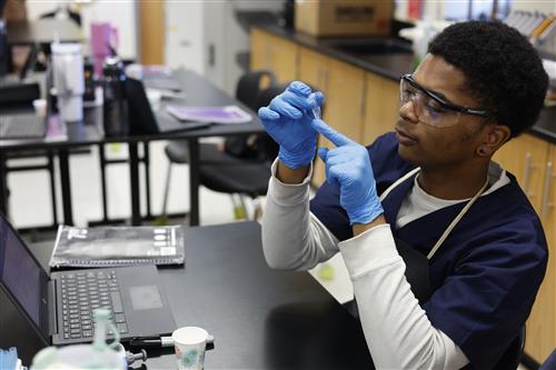 Student looking at sample