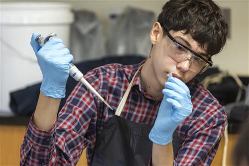 Male student studying sample