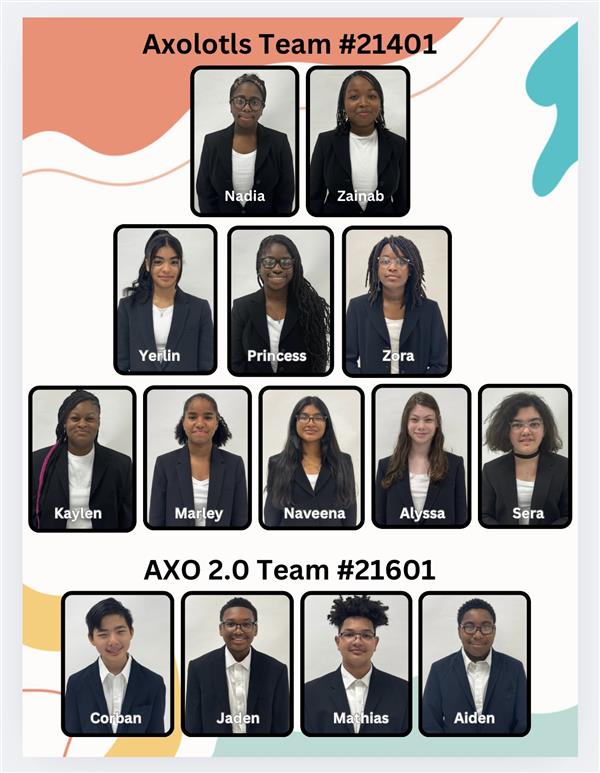 Robotics team